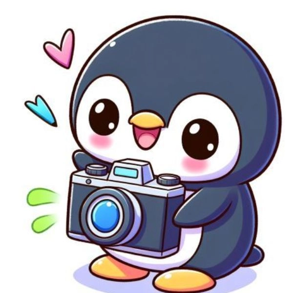 Hình minh họa chim cánh cụt chibi