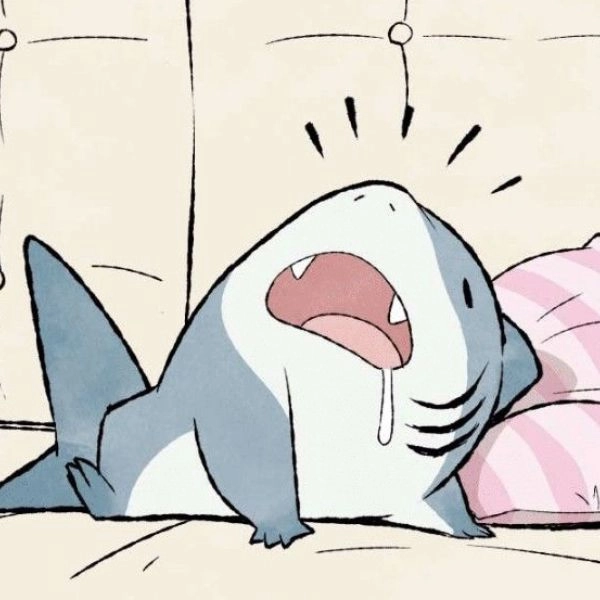 ảnh cá mập chibi chảy dãi