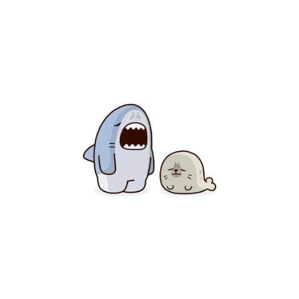 ảnh cá mập chibi cute hét