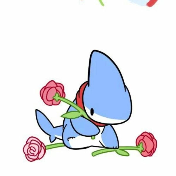 ảnh cá mập chibi dễ thương