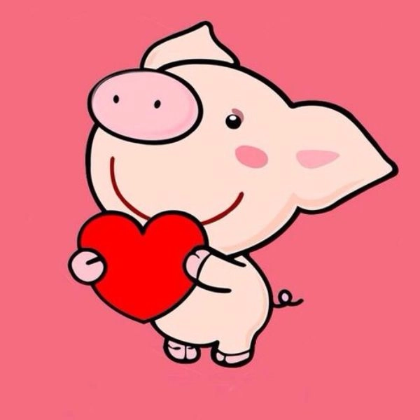 hình vẽ con heo chibi đáng yêu