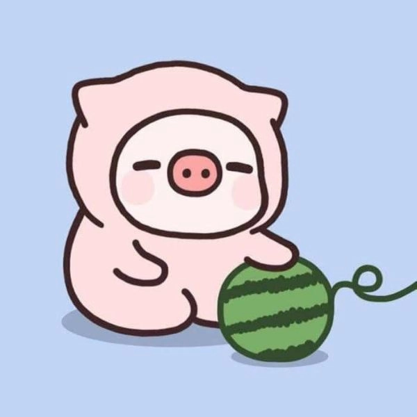 con heo chibi cute hài hước