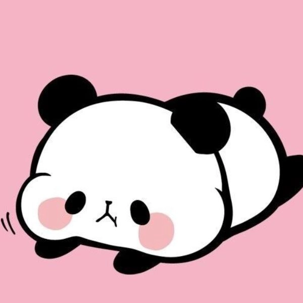 Hình chibi gấu trúc siêu dễ thương