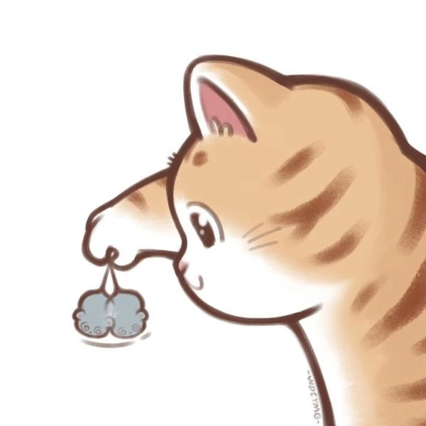 ảnh mèo chibi cute bắt chuột