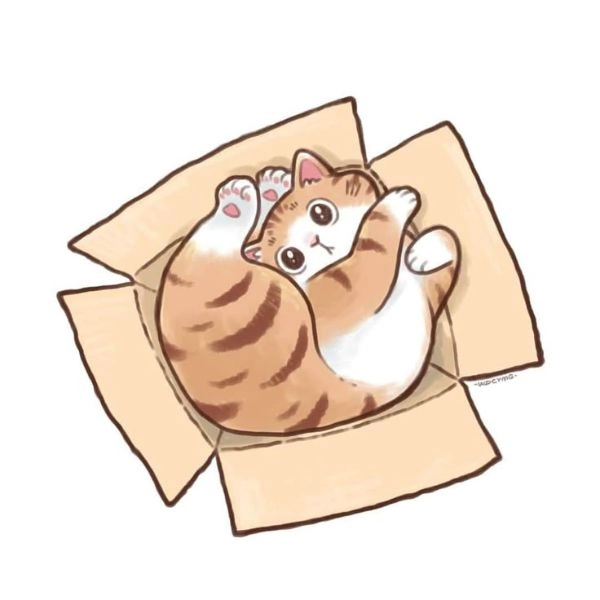 ảnh mèo chibi cute trong hộp