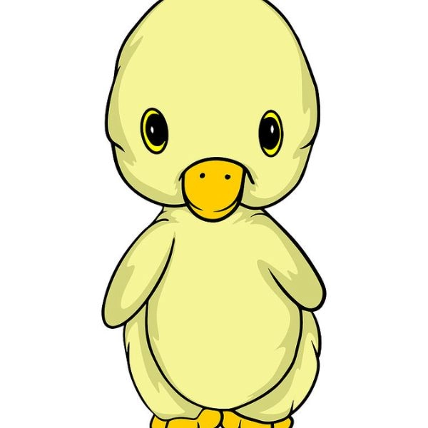 ảnh vịt chibi bé nhỏ