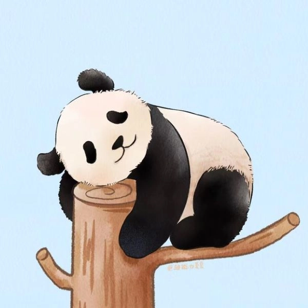 ảnh gấu trúc cute đáng yêu