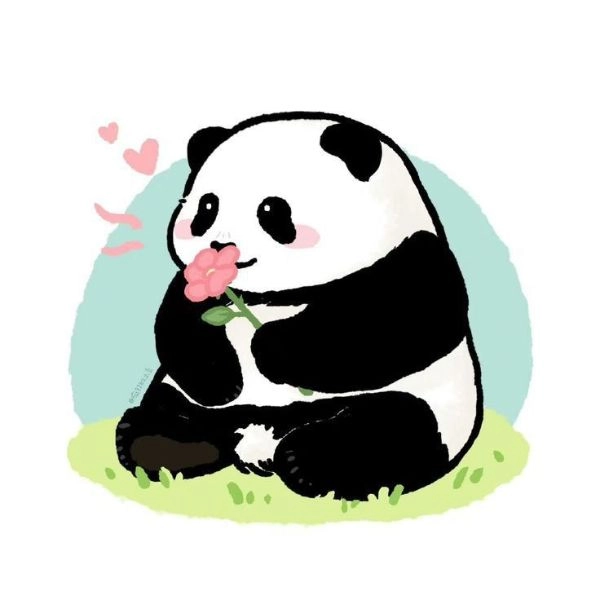 Ảnh gấu trúc cute chibi siêu dễ thương
