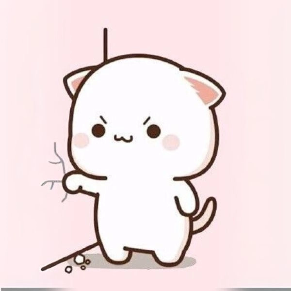 hình ảnh mèo chibi tức giận