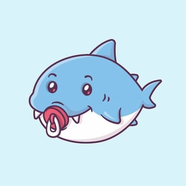 hình cá mập chibi dễ thương