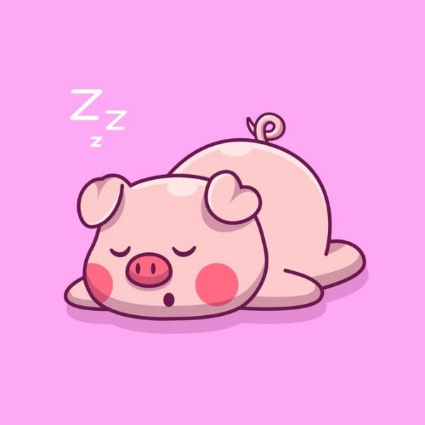 hình chibi con heo ngủ