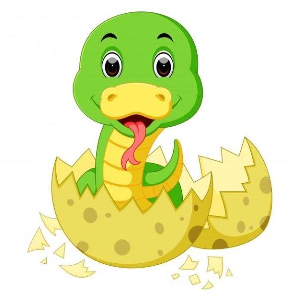 rắn chibi cute nở trứng